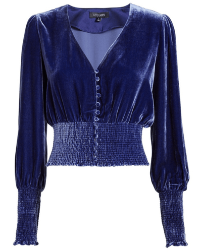 Intermix Clothing Small Blue Velvet Elon Long Sleeve Crop Top