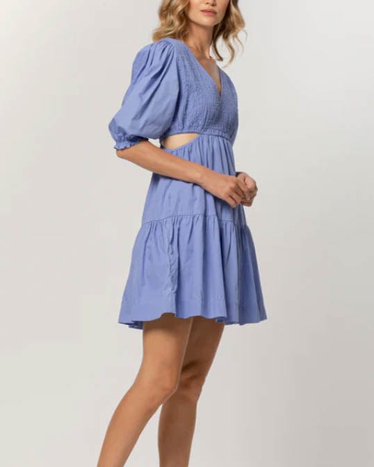 LUSANA Clothing "Brooke Mini" Dress in Haze