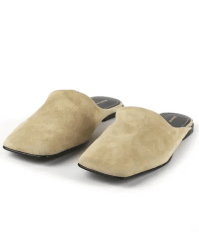 Proenza Schouler Shoes Large | US 10 Schouler Suede Mules