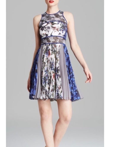 Rebecca Taylor Clothing XS | US 0-2 "Grey Gardens" Sheer Pannel Dress