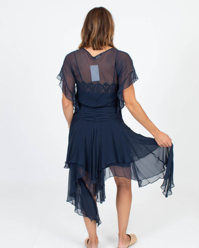BCBG Max Azria Clothing Small | US 4 Sheer Drop Waist Dress