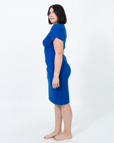 Tulip Sleeve Sheath Dress