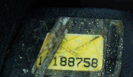 Chanel Bags One Size CC Accordion Flap Bag