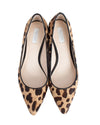 Cole Haan Shoes Small | US 6.5 Leopard Print Flats