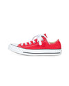 Converse Shoes Small | US 6.5 "All-Star" Low Top Sneakers