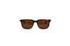 Oliver Peoples Accessories One Size Polarized Square Sunglasses