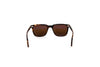 Oliver Peoples Accessories One Size Polarized Square Sunglasses