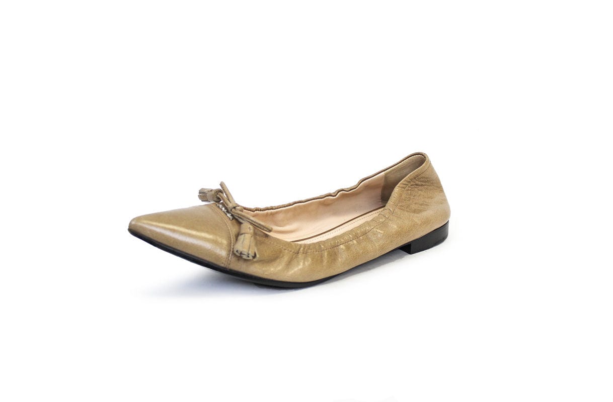 Leather Pointed Toe Ballet Flats